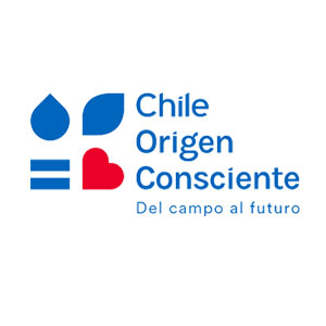 Chile Origen Consciente